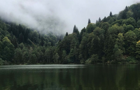 Borçka - Doğu Karadeniz Turu